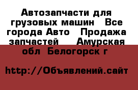 Автозапчасти для грузовых машин - Все города Авто » Продажа запчастей   . Амурская обл.,Белогорск г.